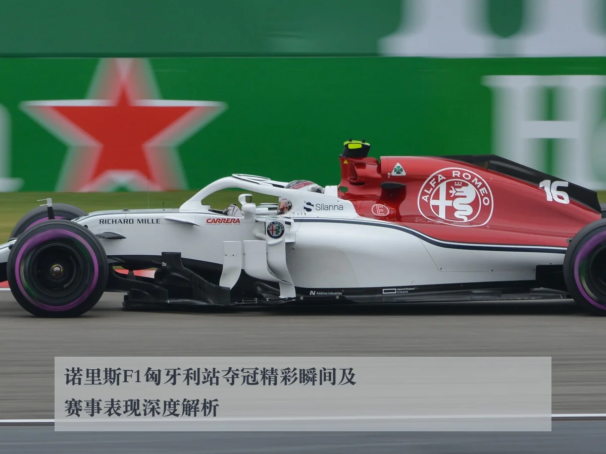 诺里斯F1匈牙利站夺冠精彩瞬间及赛事表现深度解析