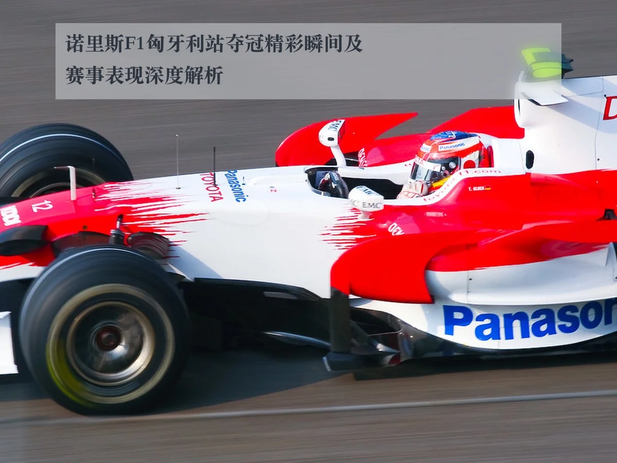 诺里斯F1匈牙利站夺冠精彩瞬间及赛事表现深度解析