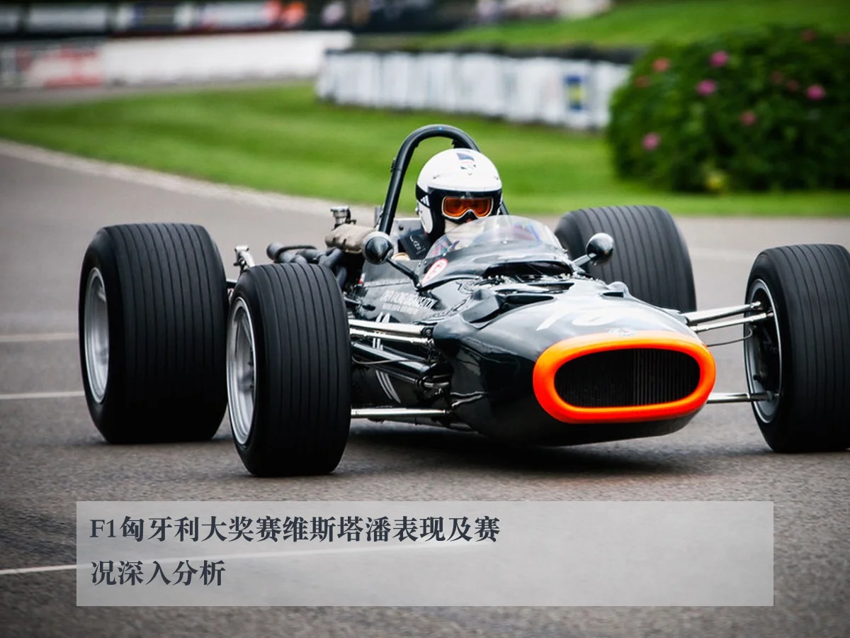 F1匈牙利大奖赛维斯塔潘表现及赛况深入分析